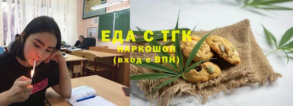 индика Алзамай