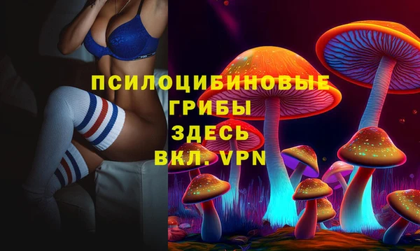 индика Алзамай